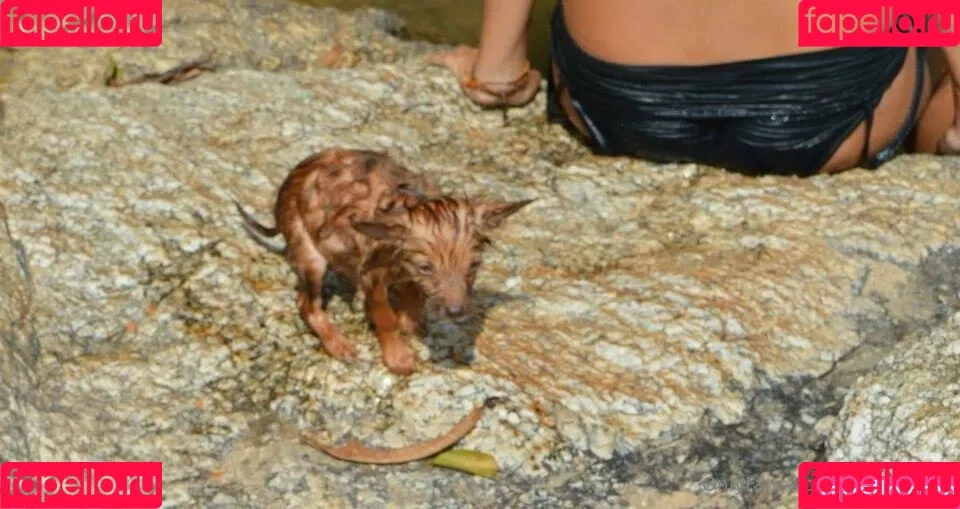 roxysdream / roxysdreamofficial Onlyfans Photo Gallery 