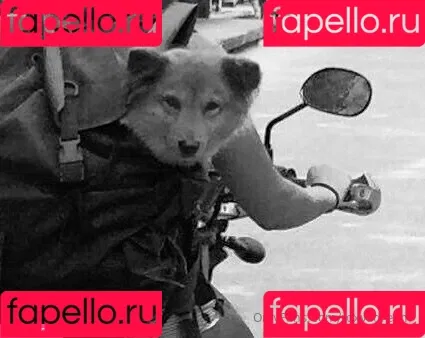 roxysdream / roxysdreamofficial Onlyfans Photo Gallery 