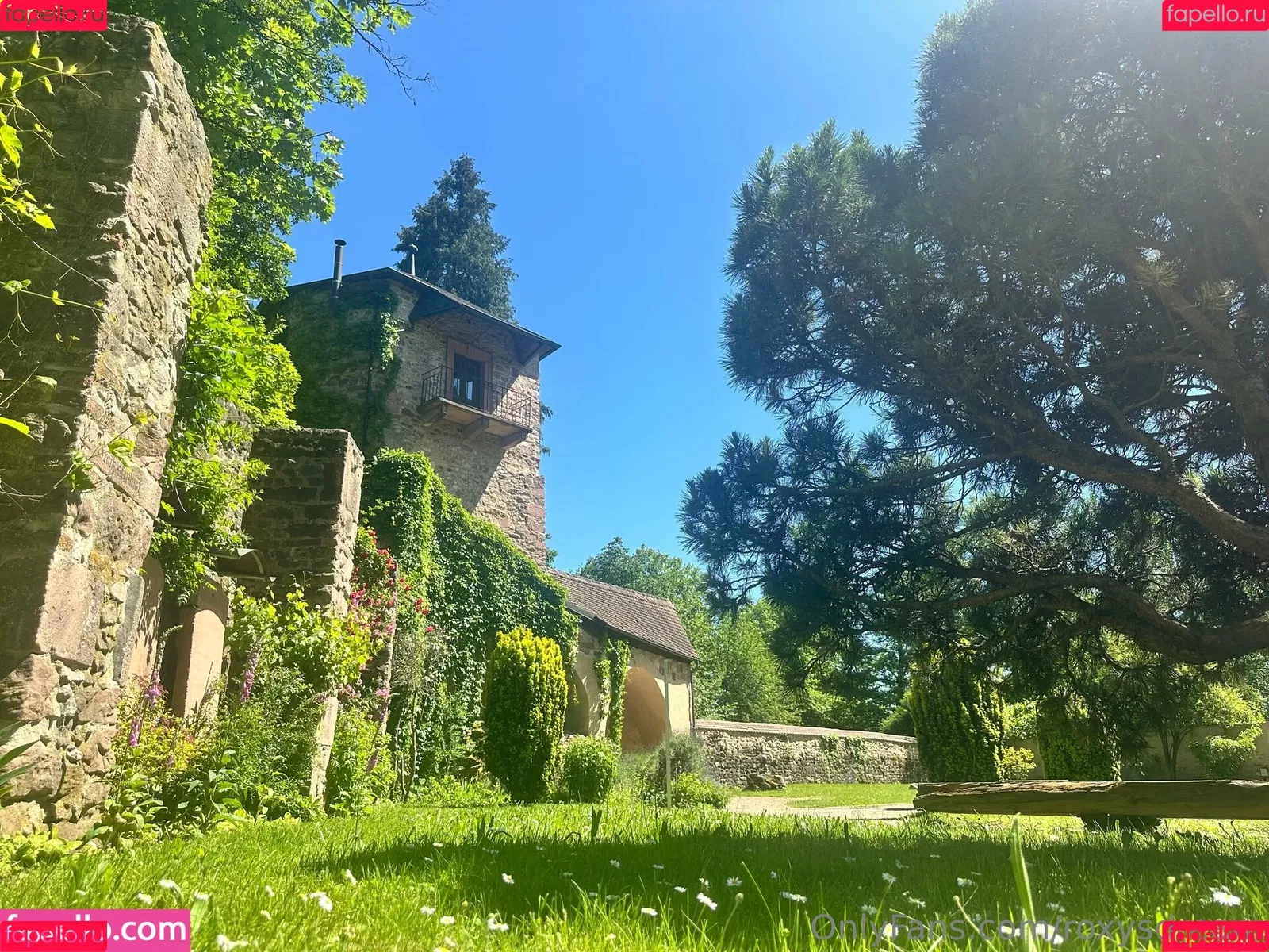 roxysdream / roxysdreamofficial Onlyfans Photo Gallery 