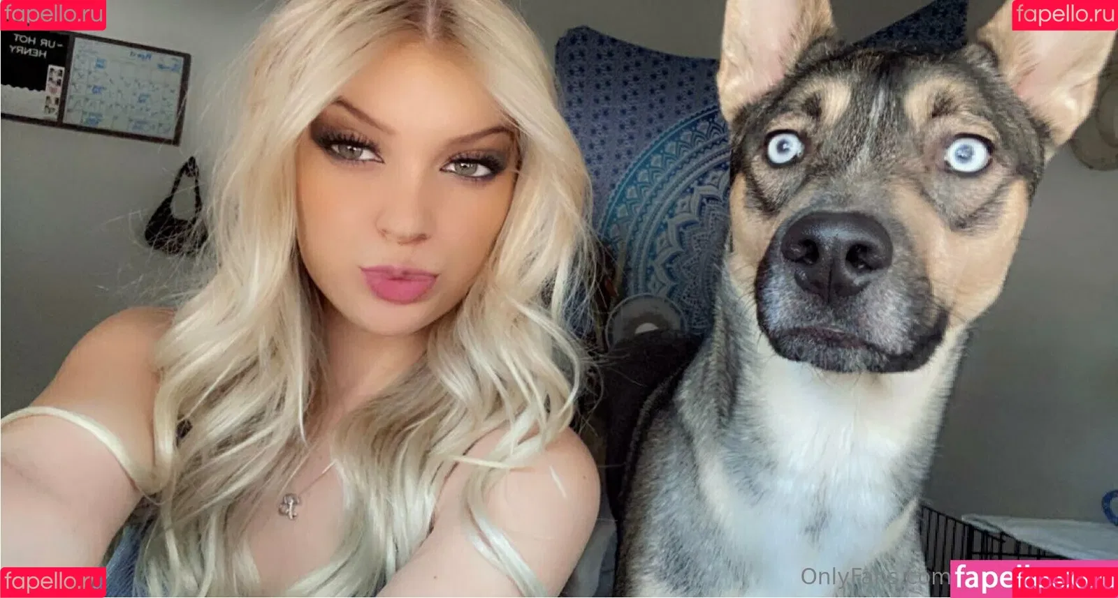 Brandibaby18 / brandibabyy18 Onlyfans Photo Gallery 