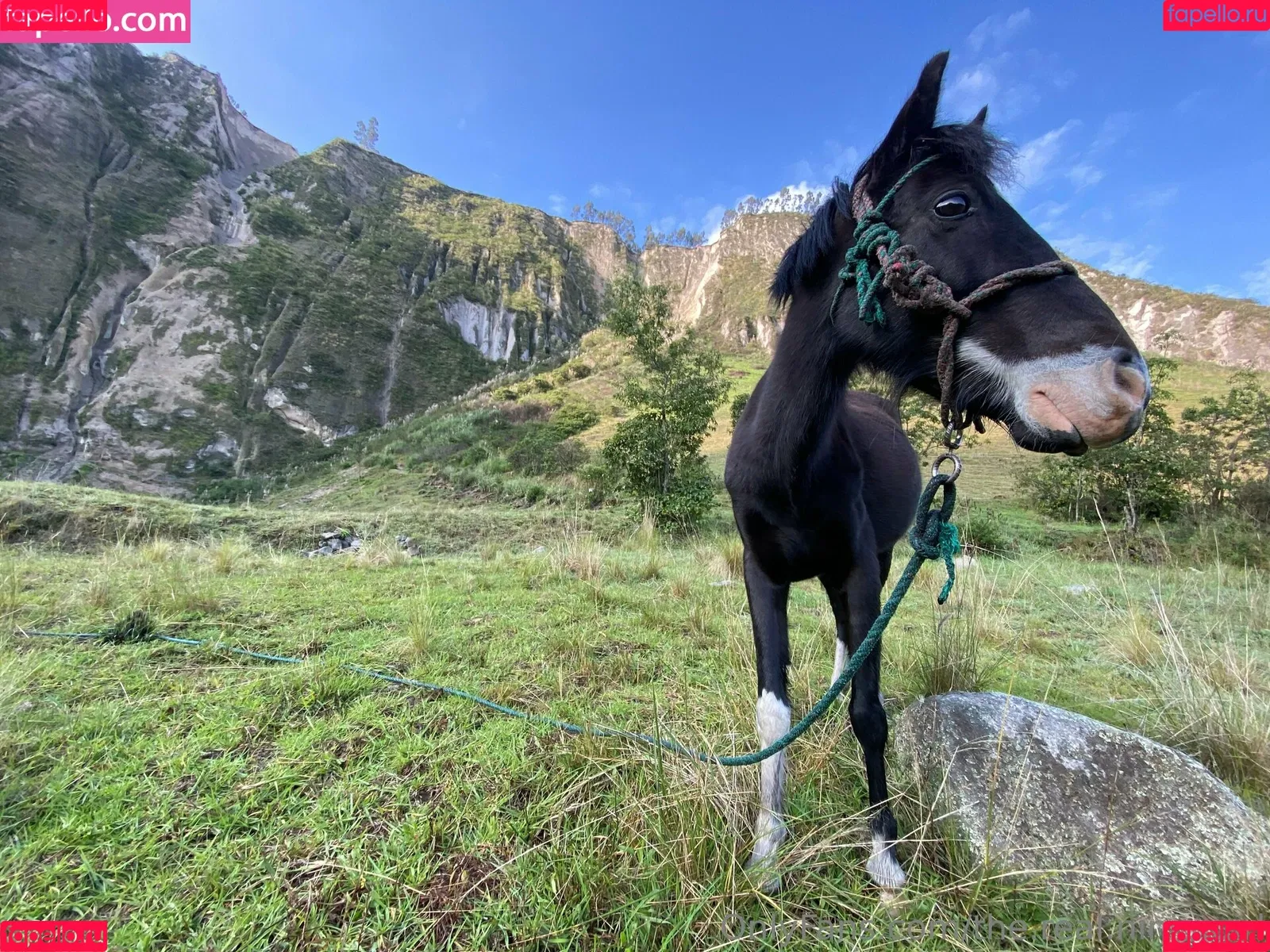 ninja_natalie / the.real.ninja.girl Onlyfans Photo Gallery 