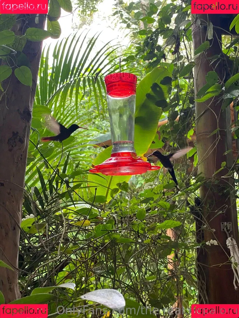 ninja_natalie / the.real.ninja.girl Onlyfans Photo Gallery 