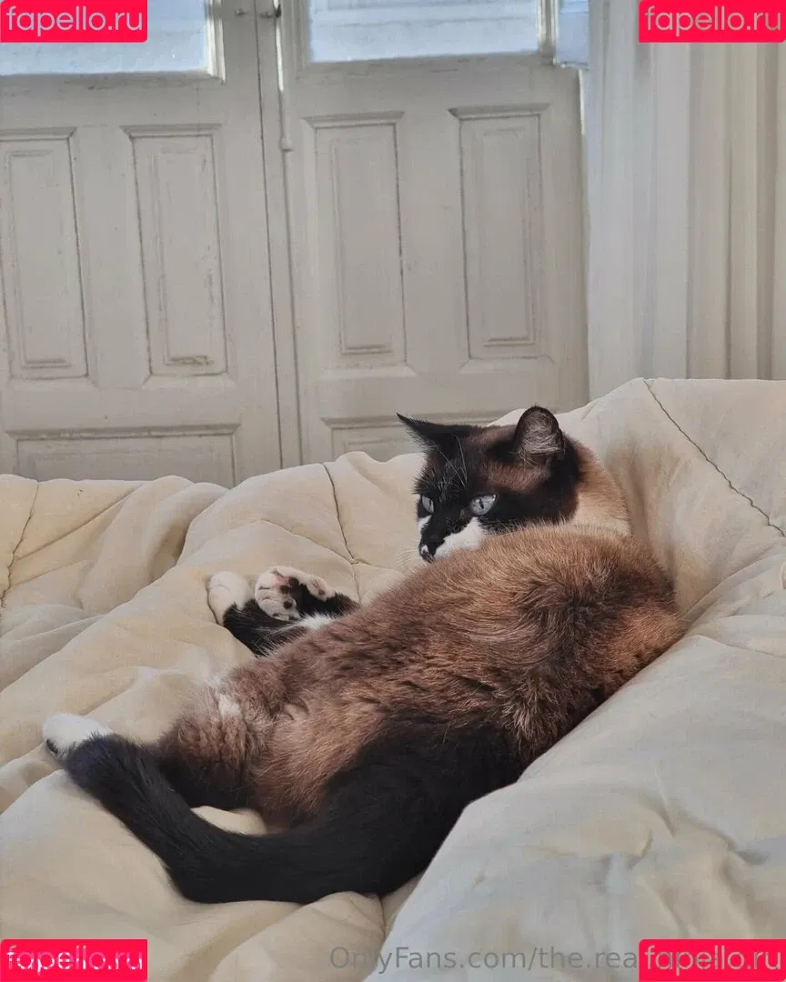 ninja_natalie / the.real.ninja.girl Onlyfans Photo Gallery 