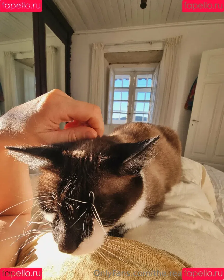 ninja_natalie / the.real.ninja.girl Onlyfans Photo Gallery 