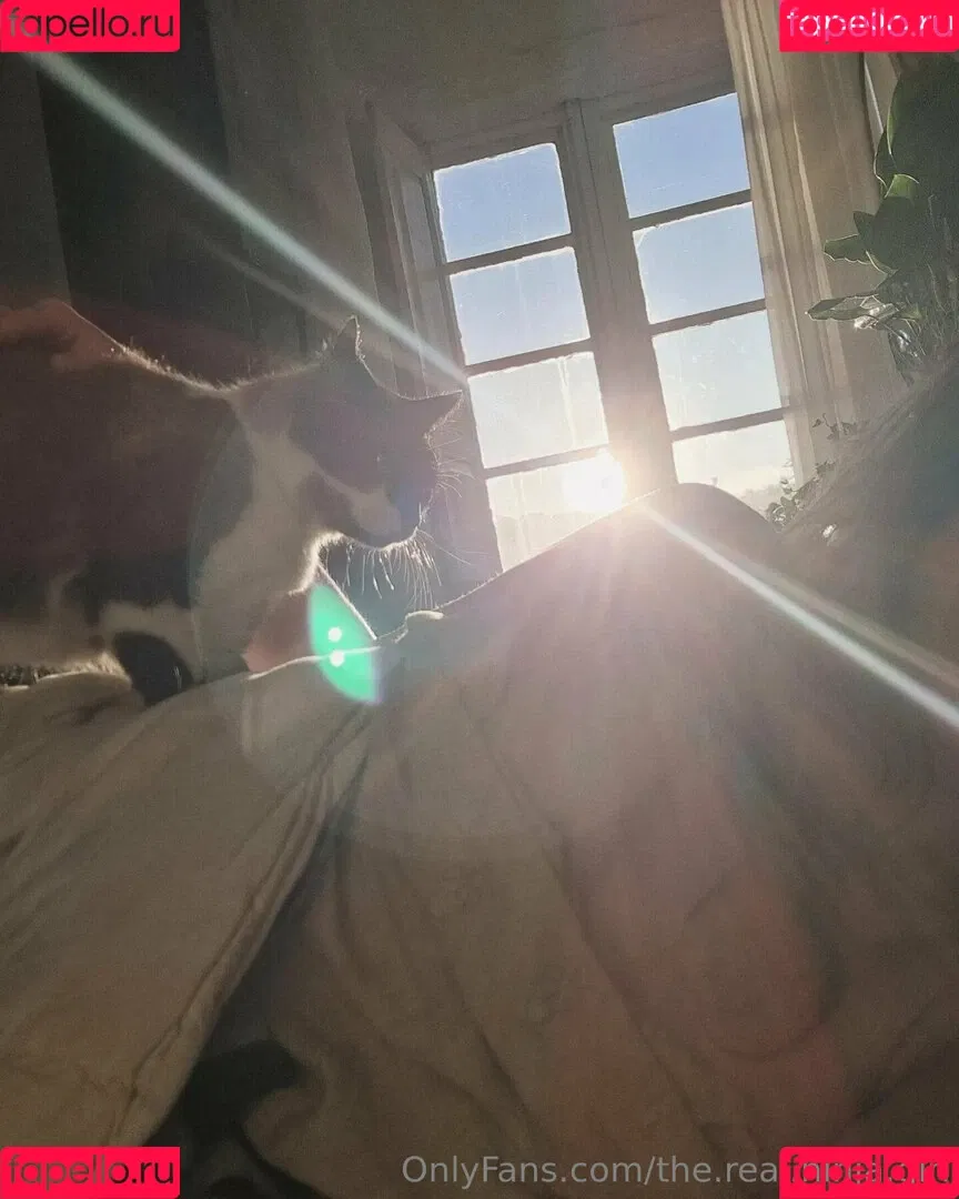 ninja_natalie / the.real.ninja.girl Onlyfans Photo Gallery 