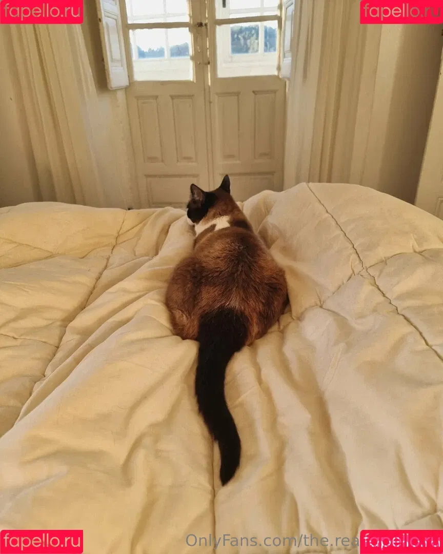 ninja_natalie / the.real.ninja.girl Onlyfans Photo Gallery 