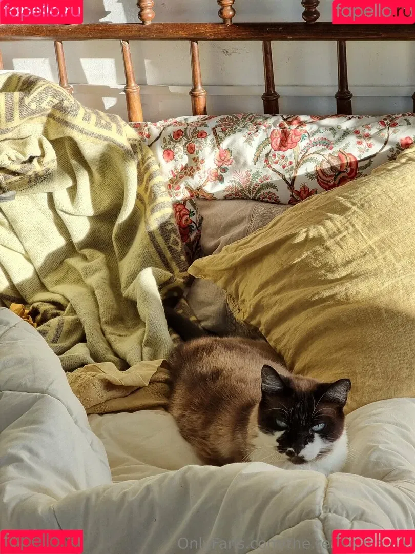 ninja_natalie / the.real.ninja.girl Onlyfans Photo Gallery 