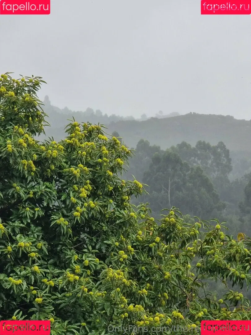 ninja_natalie / the.real.ninja.girl Onlyfans Photo Gallery 