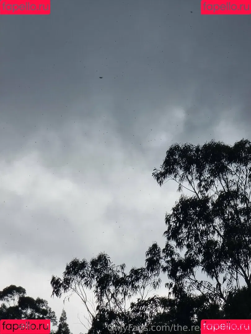 ninja_natalie / the.real.ninja.girl Onlyfans Photo Gallery 