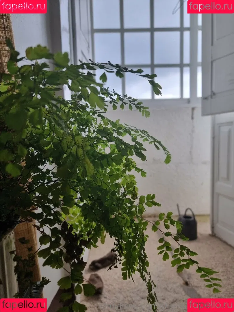 ninja_natalie / the.real.ninja.girl Onlyfans Photo Gallery 