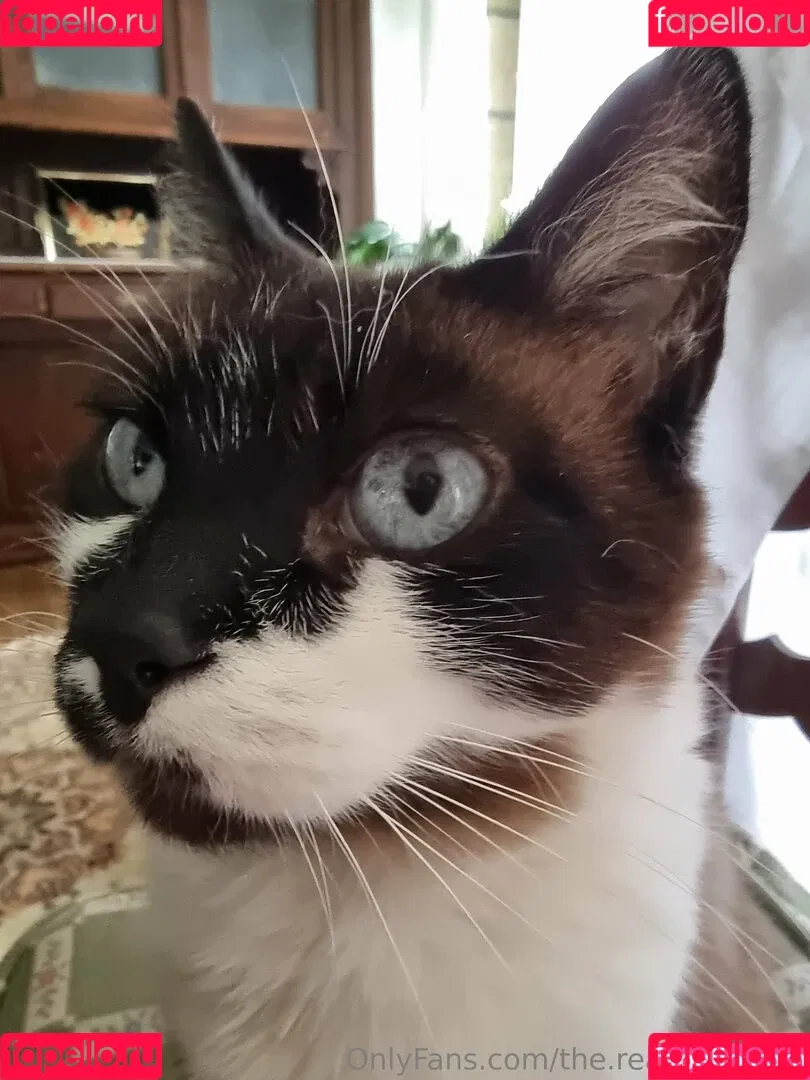 ninja_natalie / the.real.ninja.girl Onlyfans Photo Gallery 