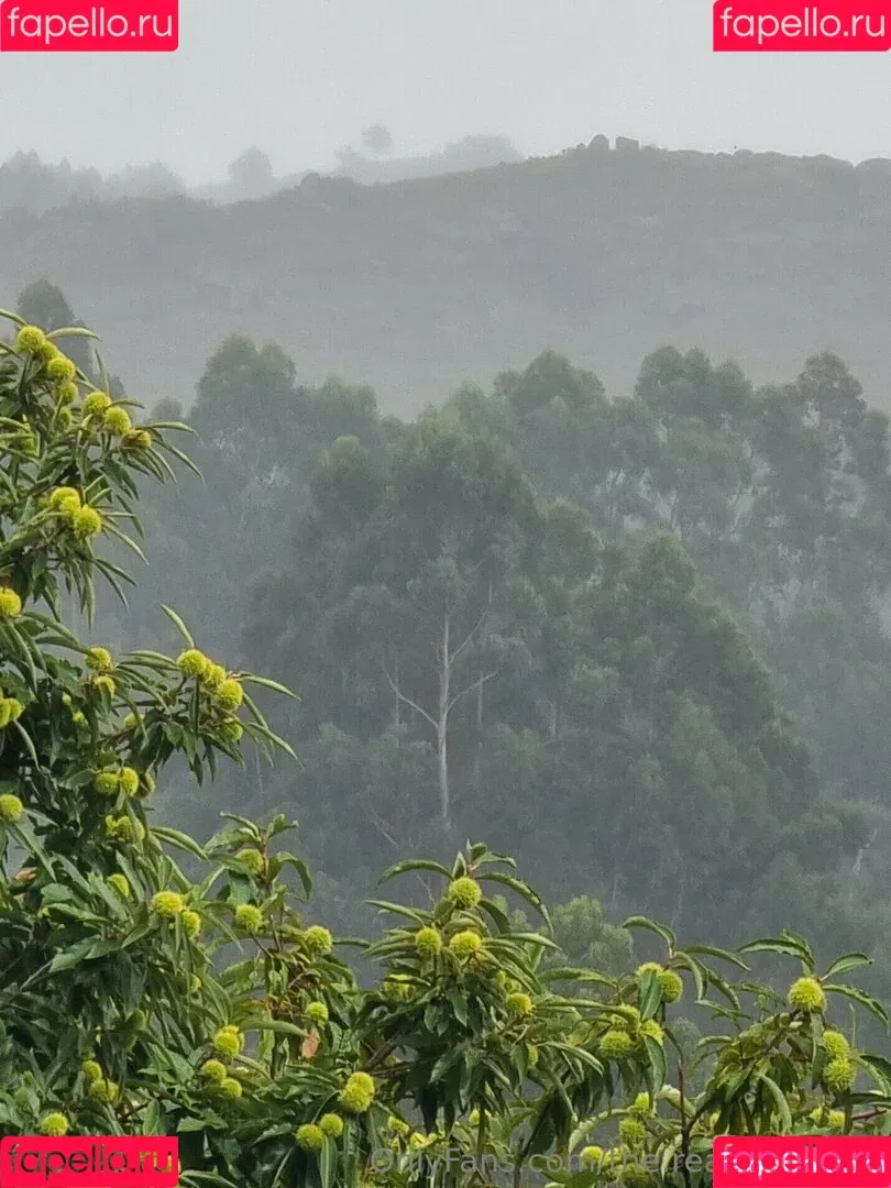 ninja_natalie / the.real.ninja.girl Onlyfans Photo Gallery 