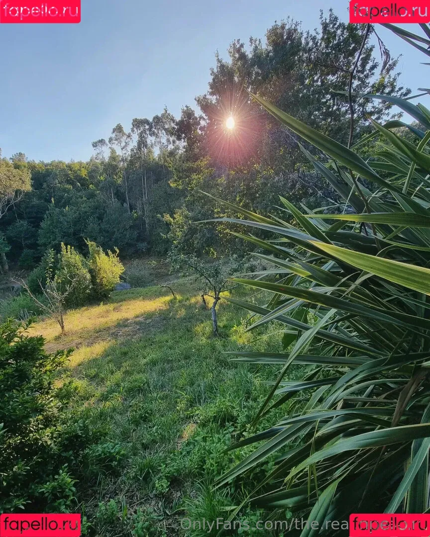 ninja_natalie / the.real.ninja.girl Onlyfans Photo Gallery 