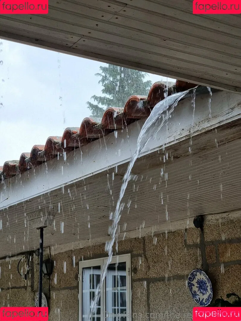 ninja_natalie / the.real.ninja.girl Onlyfans Photo Gallery 