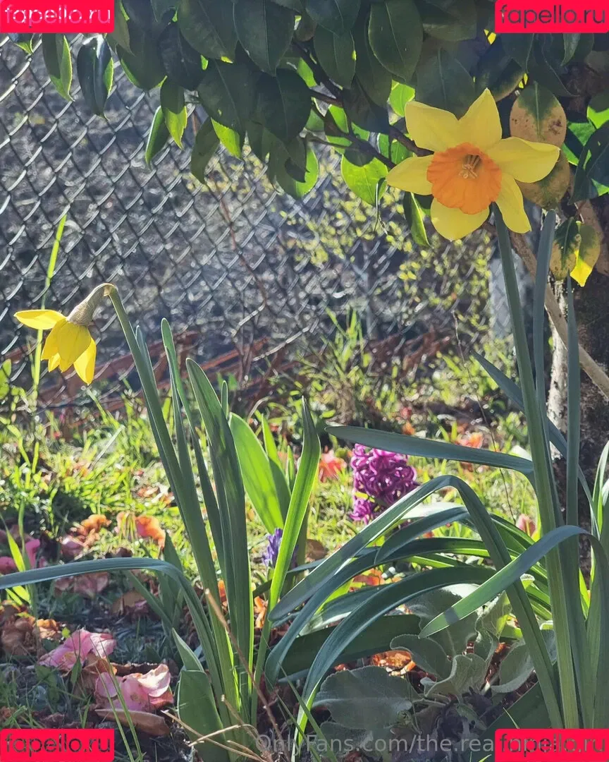 ninja_natalie / the.real.ninja.girl Onlyfans Photo Gallery 