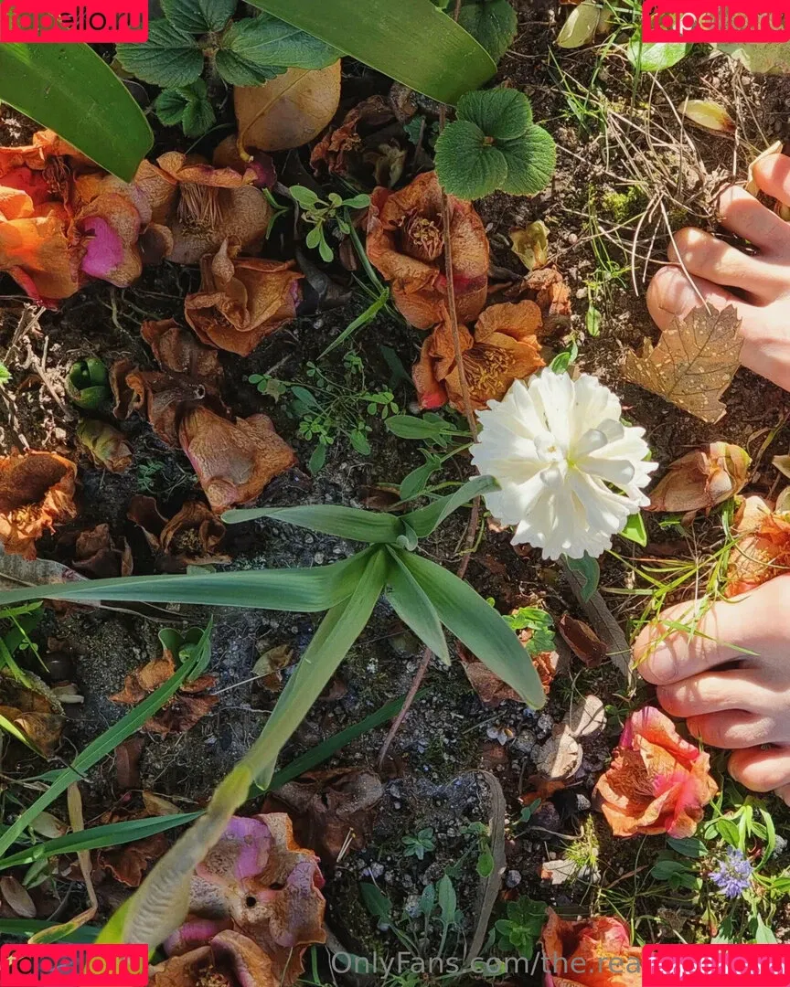 ninja_natalie / the.real.ninja.girl Onlyfans Photo Gallery 