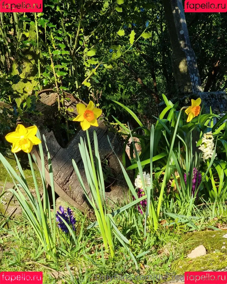 ninja_natalie / the.real.ninja.girl Onlyfans Photo Gallery 