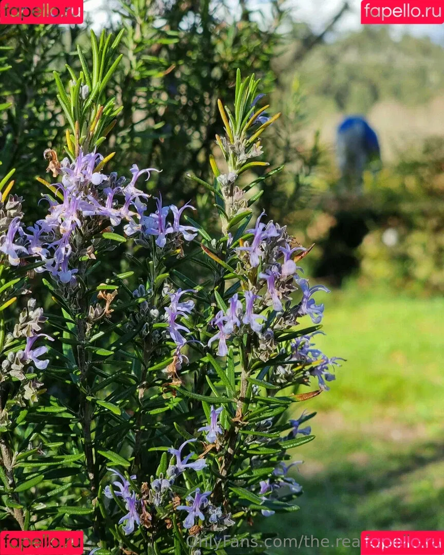 ninja_natalie / the.real.ninja.girl Onlyfans Photo Gallery 