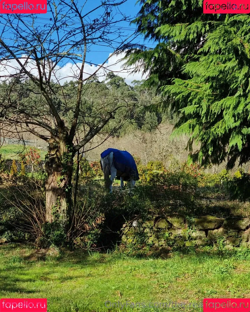 ninja_natalie / the.real.ninja.girl Onlyfans Photo Gallery 