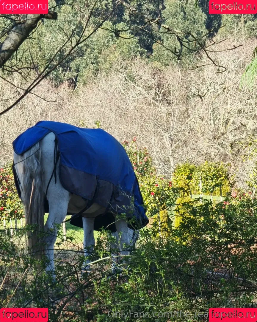 ninja_natalie / the.real.ninja.girl Onlyfans Photo Gallery 