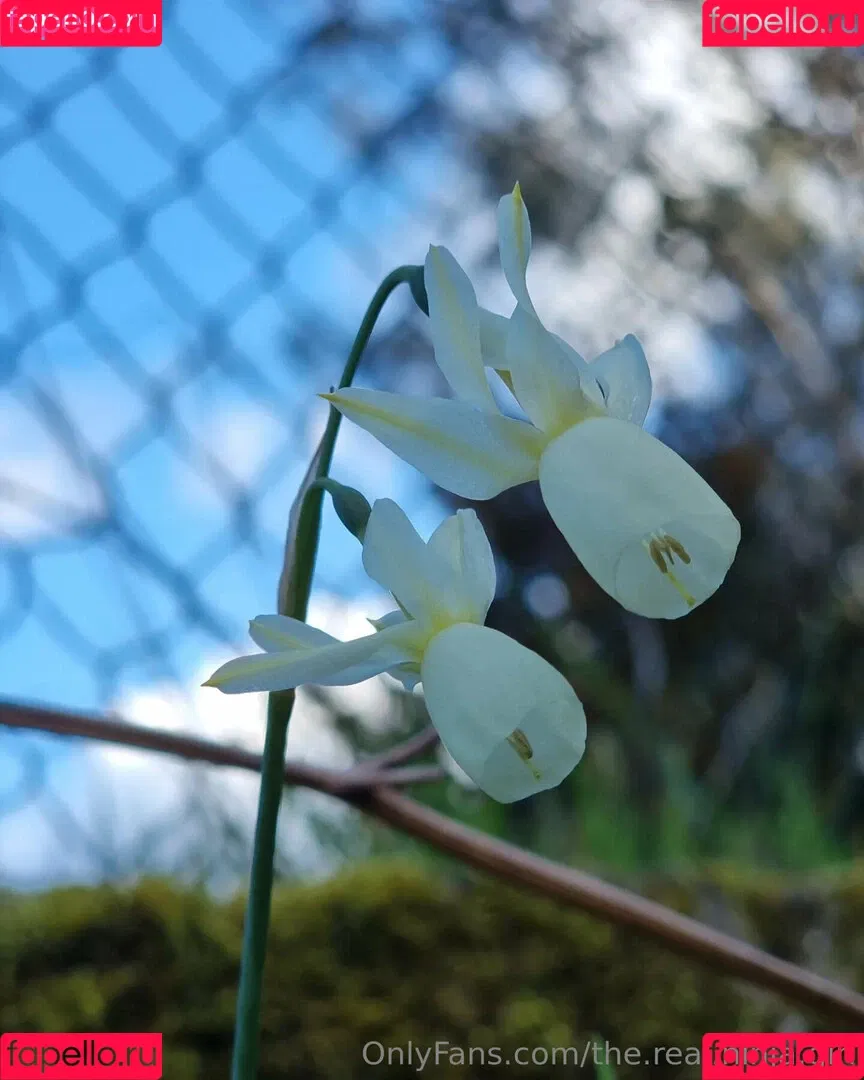 ninja_natalie / the.real.ninja.girl Onlyfans Photo Gallery 