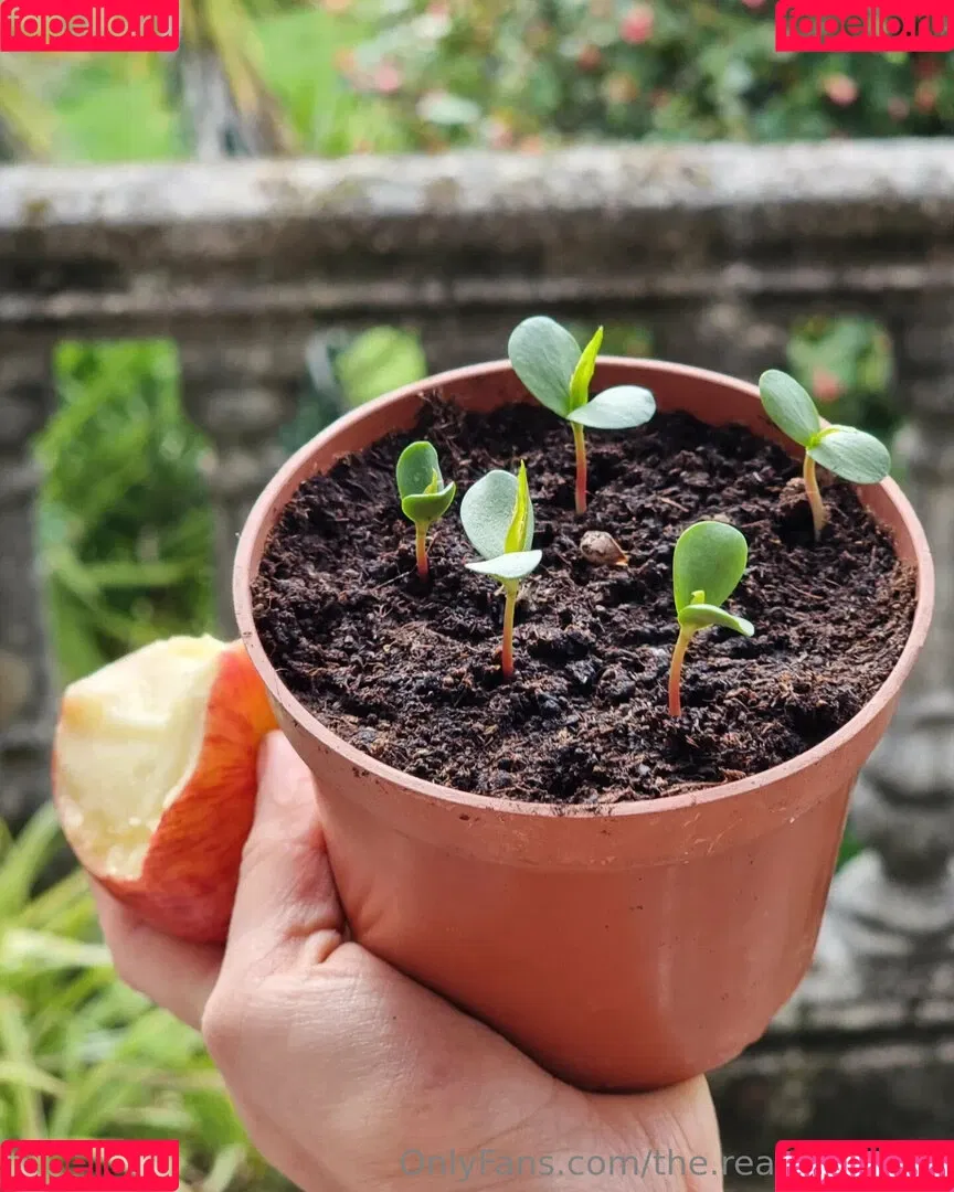 ninja_natalie / the.real.ninja.girl Onlyfans Photo Gallery 