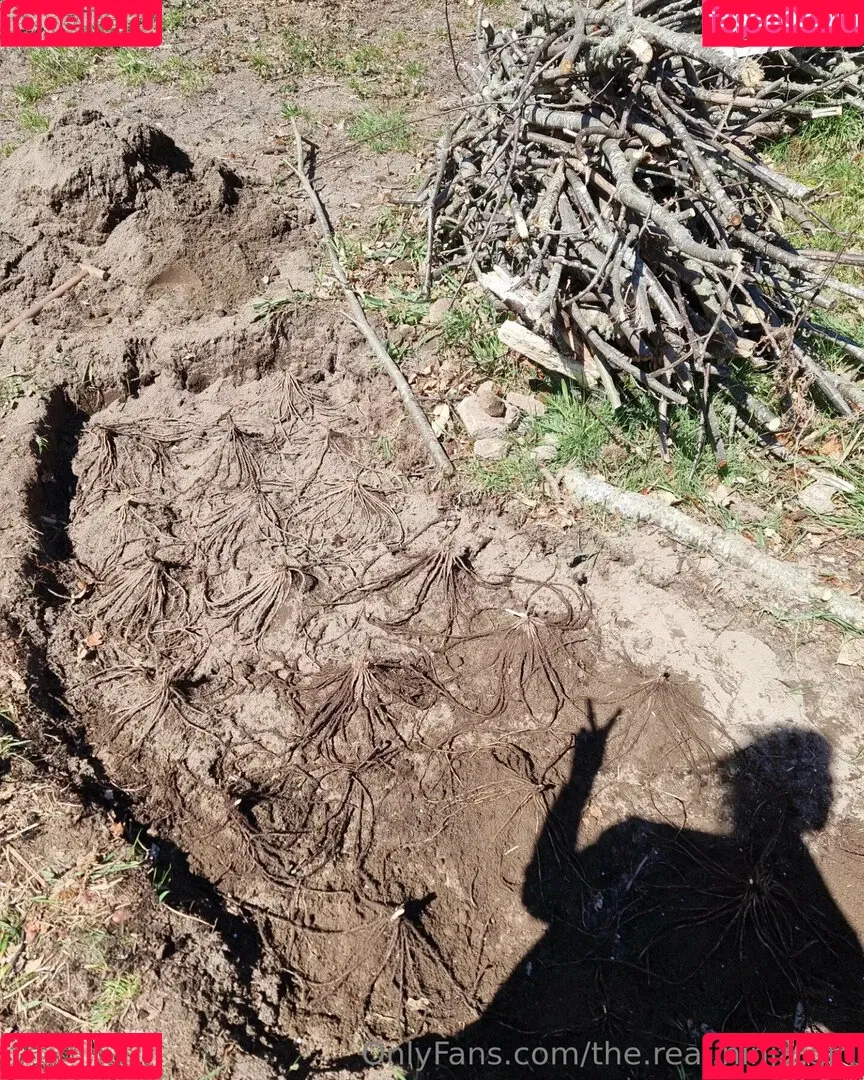 ninja_natalie / the.real.ninja.girl Onlyfans Photo Gallery 