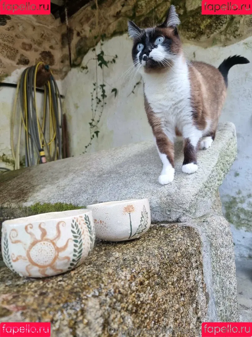 ninja_natalie / the.real.ninja.girl Onlyfans Photo Gallery 