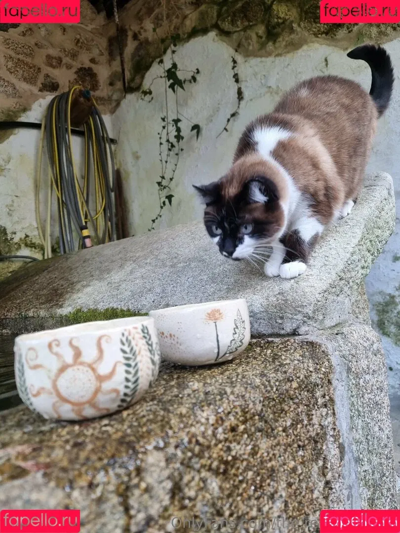 ninja_natalie / the.real.ninja.girl Onlyfans Photo Gallery 