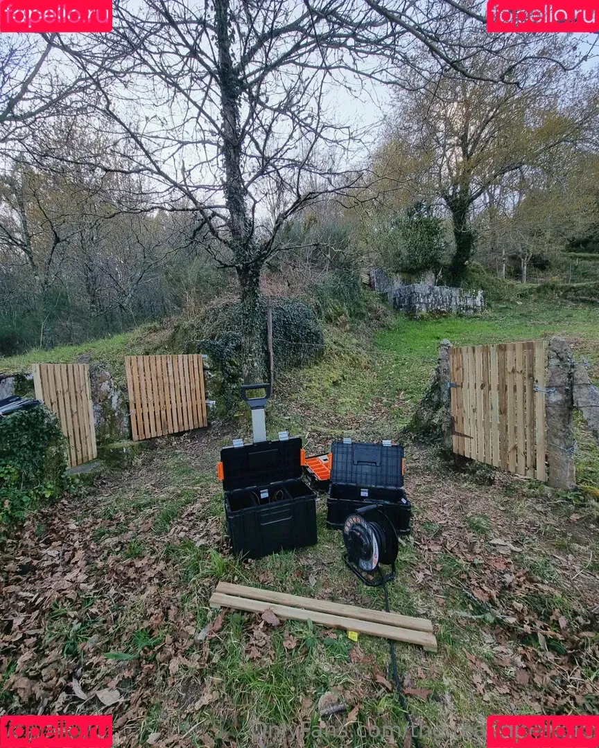 ninja_natalie / the.real.ninja.girl Onlyfans Photo Gallery 