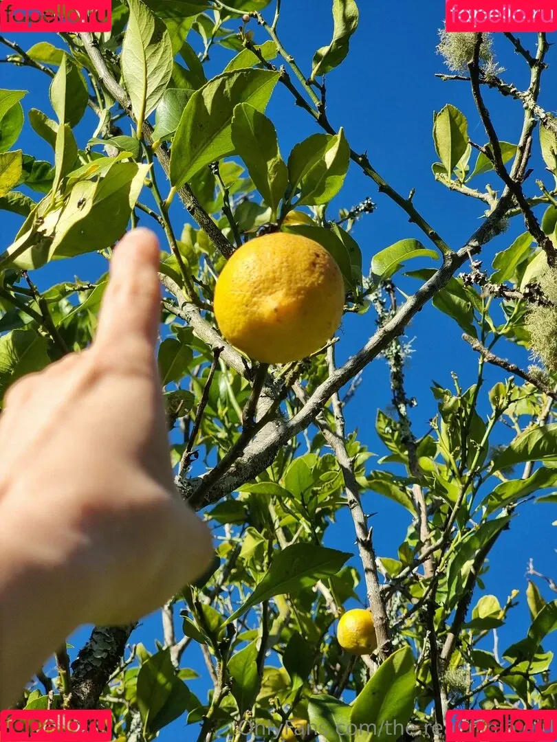 ninja_natalie / the.real.ninja.girl Onlyfans Photo Gallery 