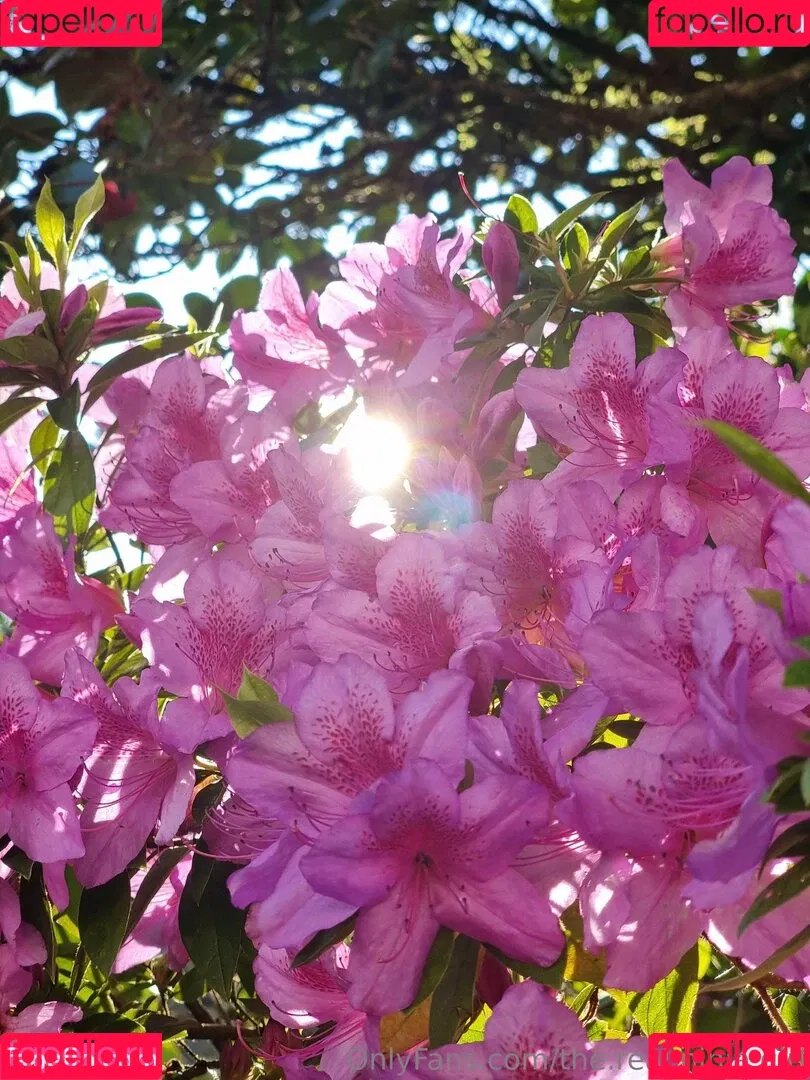 ninja_natalie / the.real.ninja.girl Onlyfans Photo Gallery 