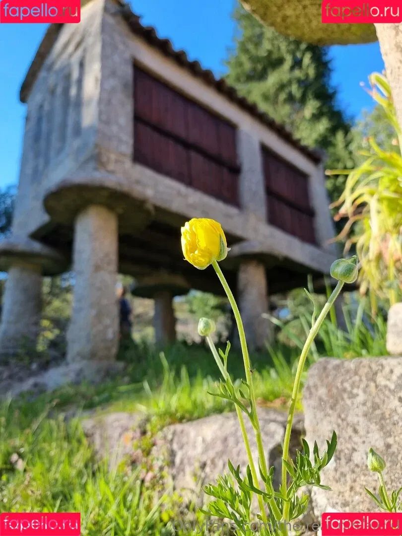 ninja_natalie / the.real.ninja.girl Onlyfans Photo Gallery 