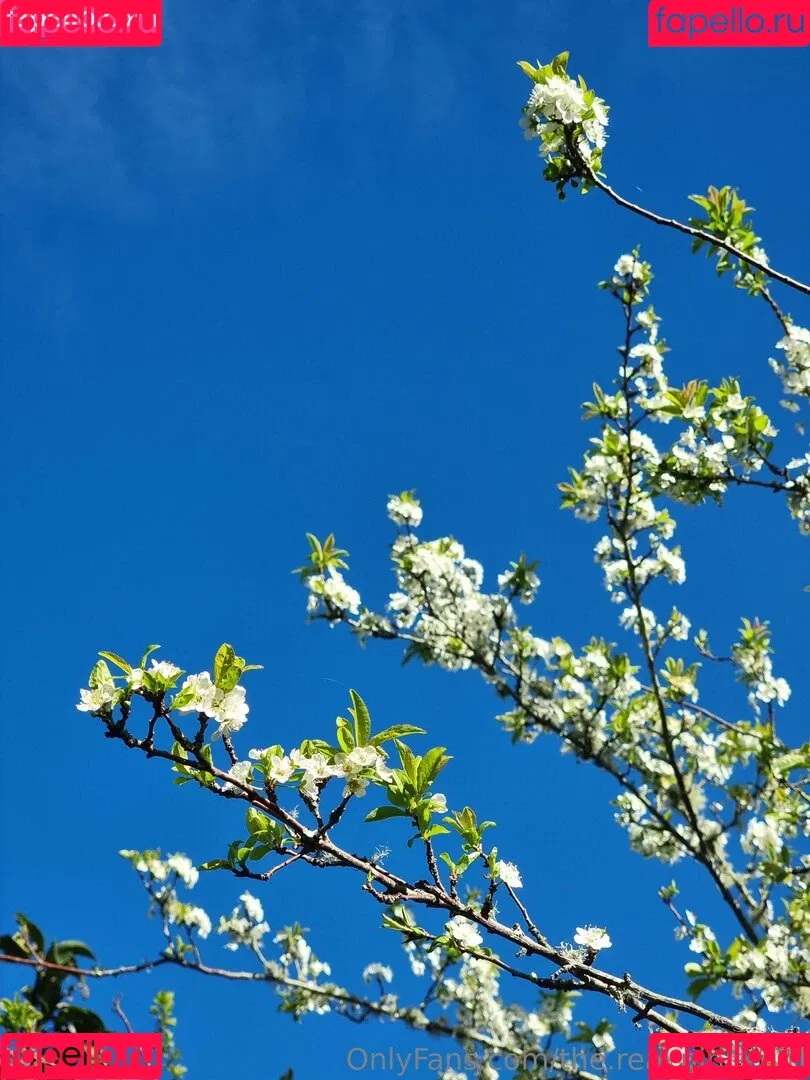 ninja_natalie / the.real.ninja.girl Onlyfans Photo Gallery 