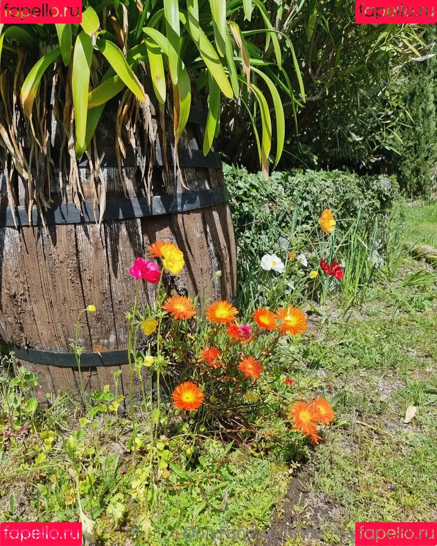 ninja_natalie / the.real.ninja.girl Onlyfans Photo Gallery 