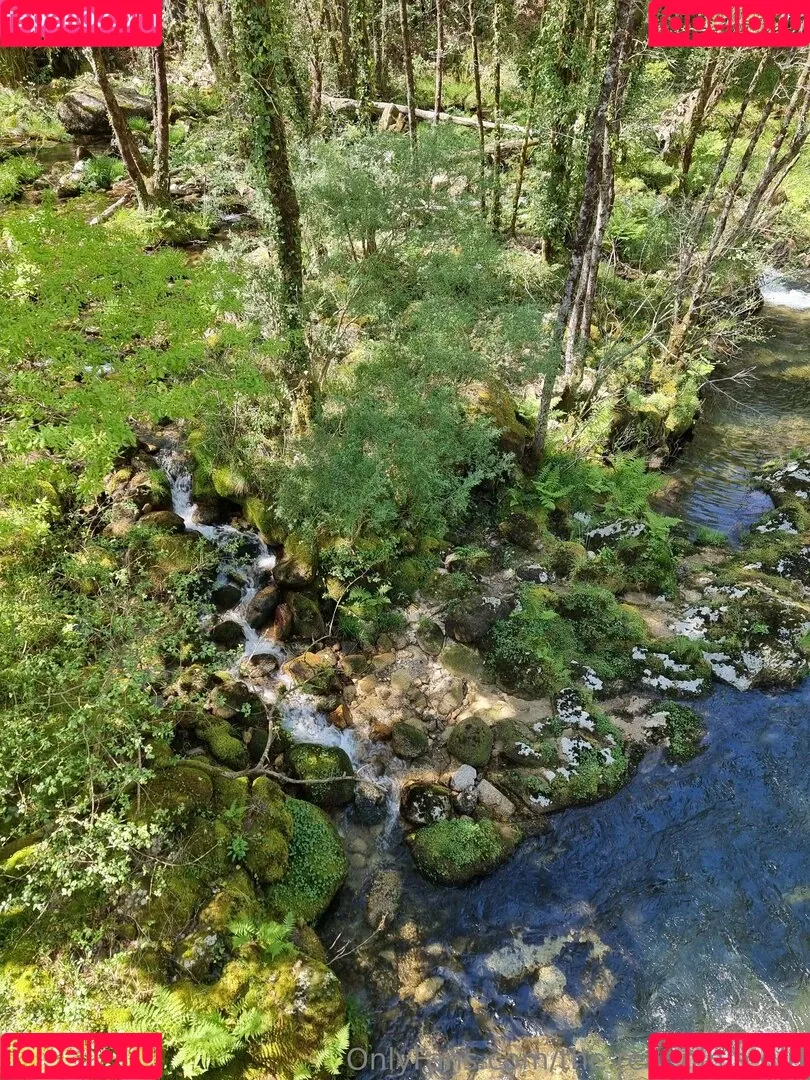 ninja_natalie / the.real.ninja.girl Onlyfans Photo Gallery 