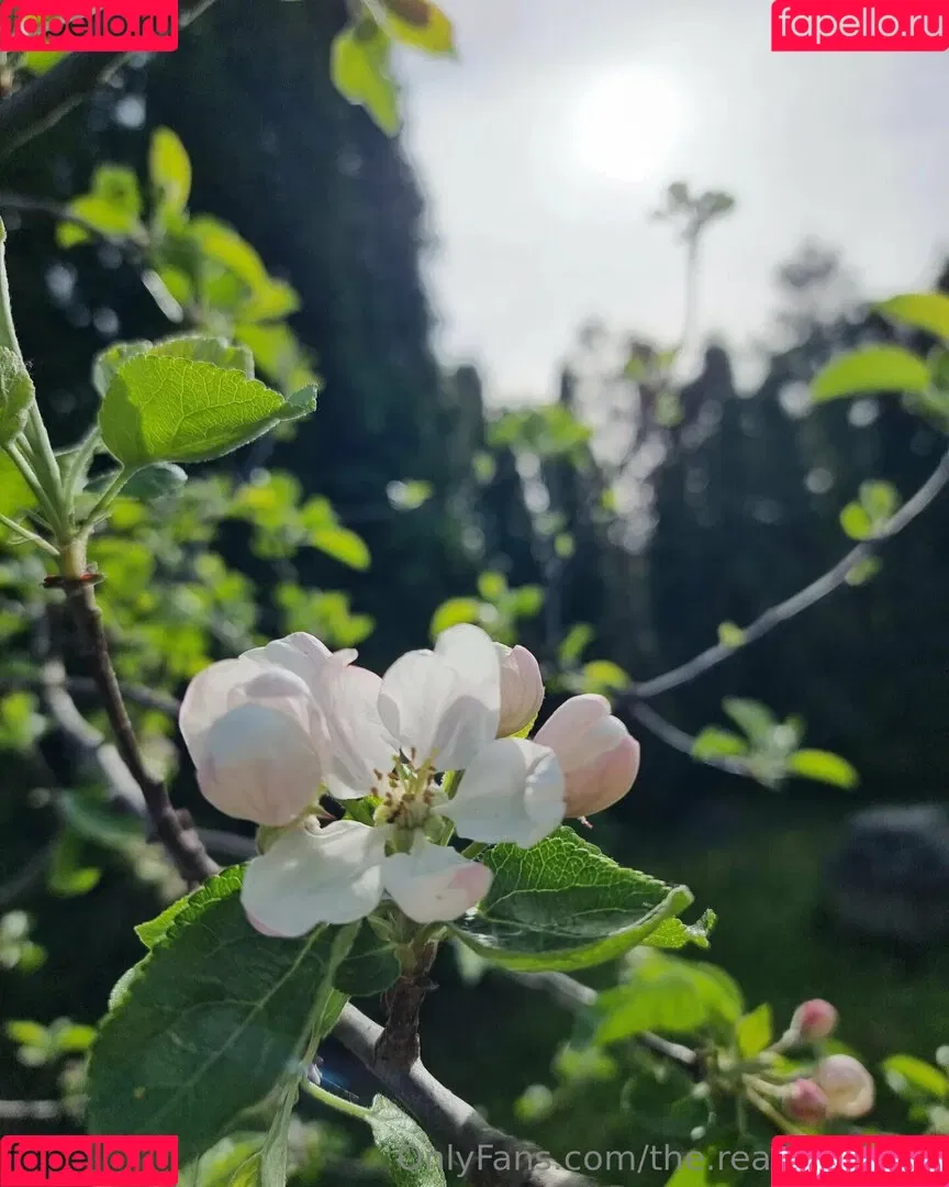 ninja_natalie / the.real.ninja.girl Onlyfans Photo Gallery 