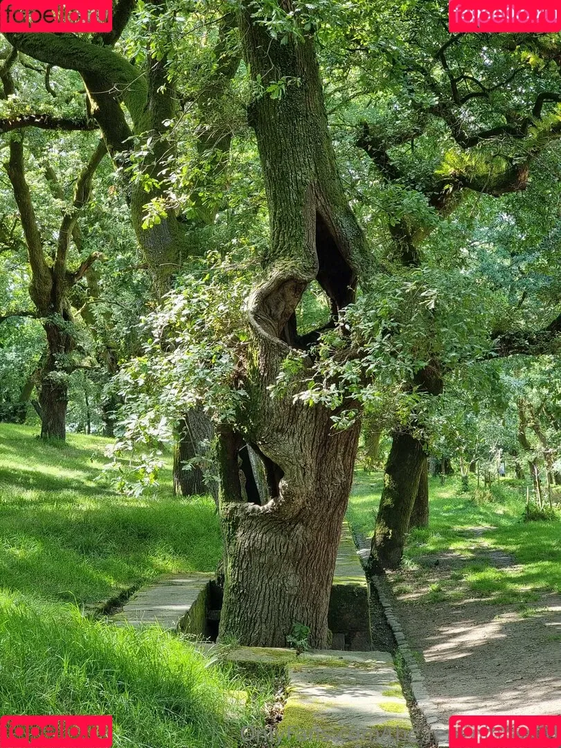 ninja_natalie / the.real.ninja.girl Onlyfans Photo Gallery 