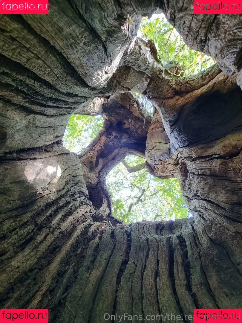 ninja_natalie / the.real.ninja.girl Onlyfans Photo Gallery 