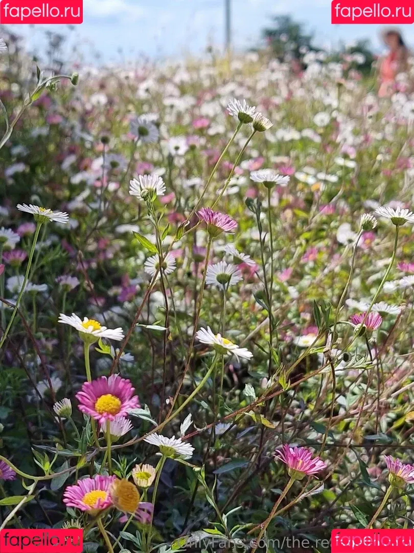 ninja_natalie / the.real.ninja.girl Onlyfans Photo Gallery 