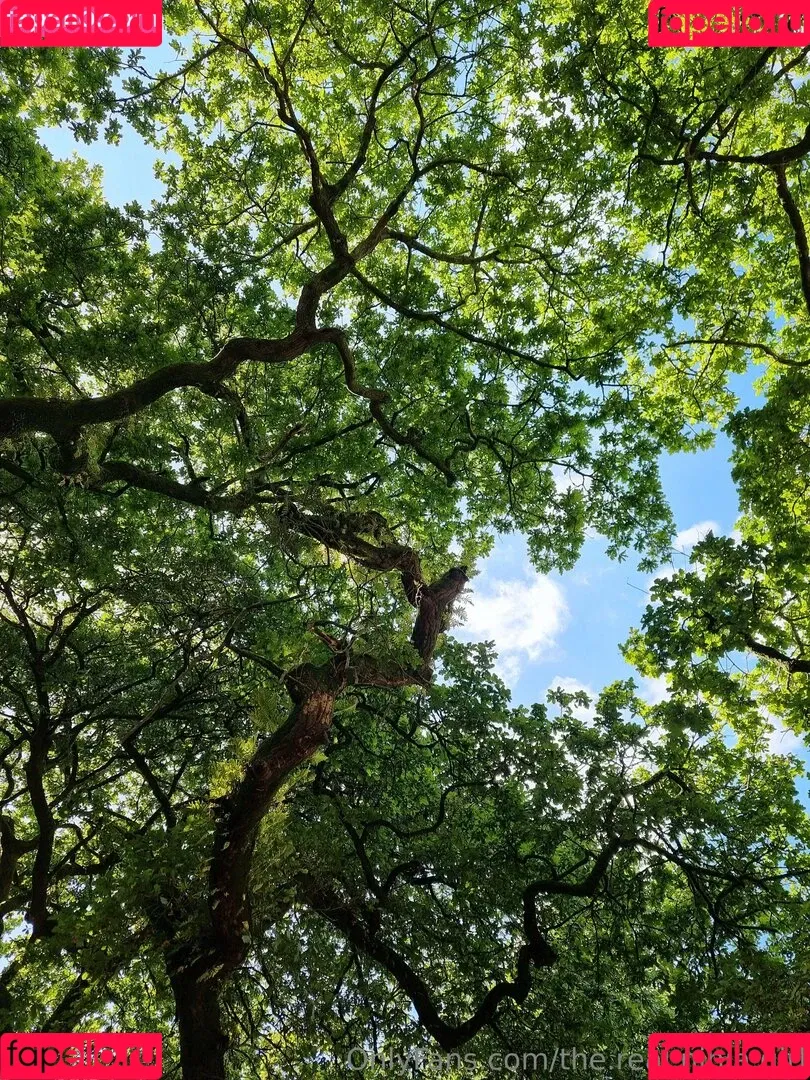 ninja_natalie / the.real.ninja.girl Onlyfans Photo Gallery 