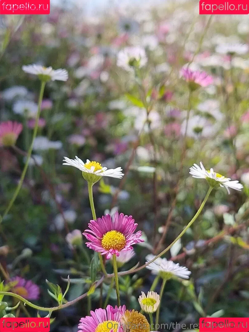 ninja_natalie / the.real.ninja.girl Onlyfans Photo Gallery 