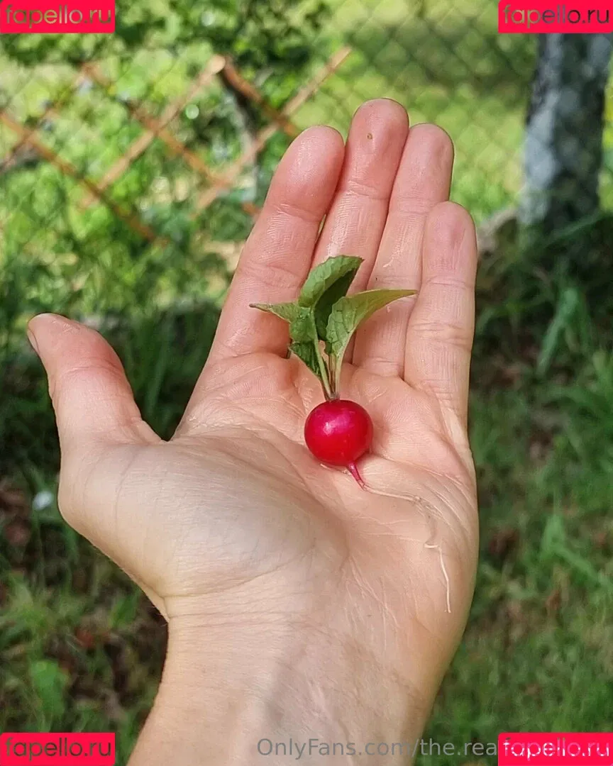 ninja_natalie / the.real.ninja.girl Onlyfans Photo Gallery 