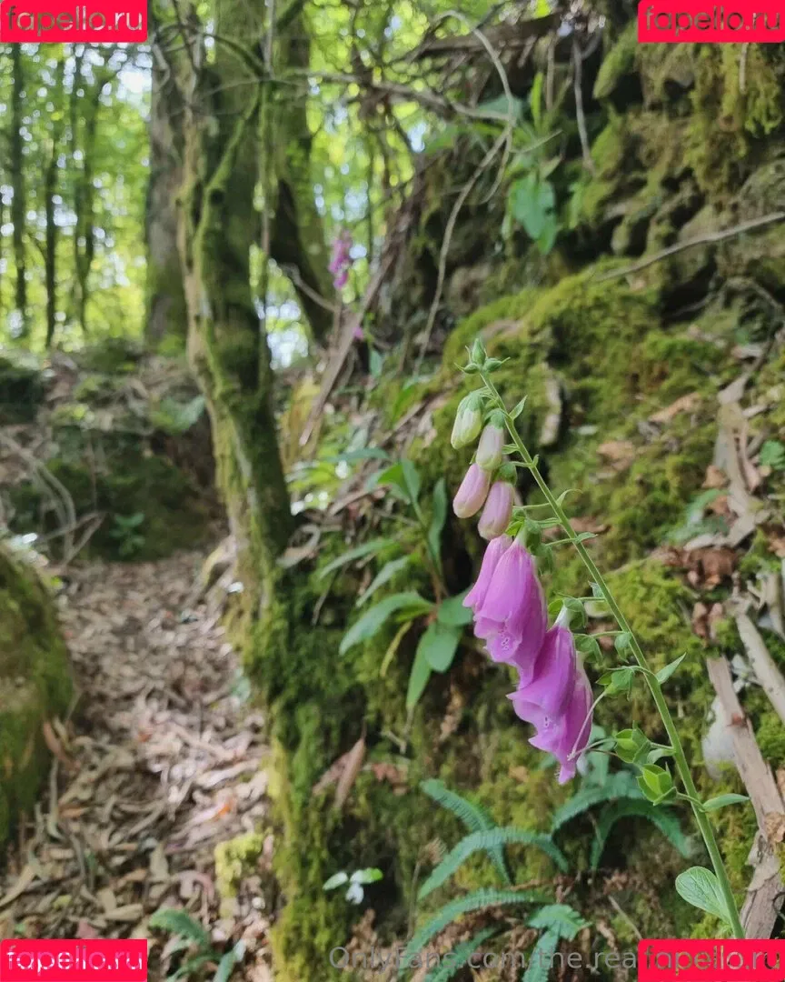 ninja_natalie / the.real.ninja.girl Onlyfans Photo Gallery 