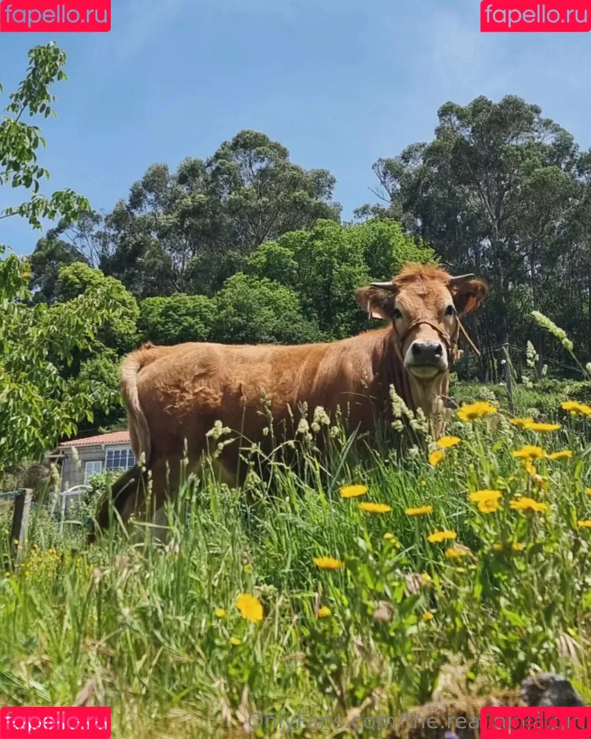 ninja_natalie / the.real.ninja.girl Onlyfans Photo Gallery 