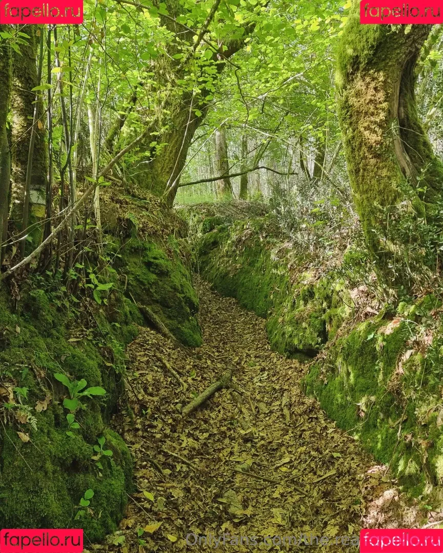 ninja_natalie / the.real.ninja.girl Onlyfans Photo Gallery 