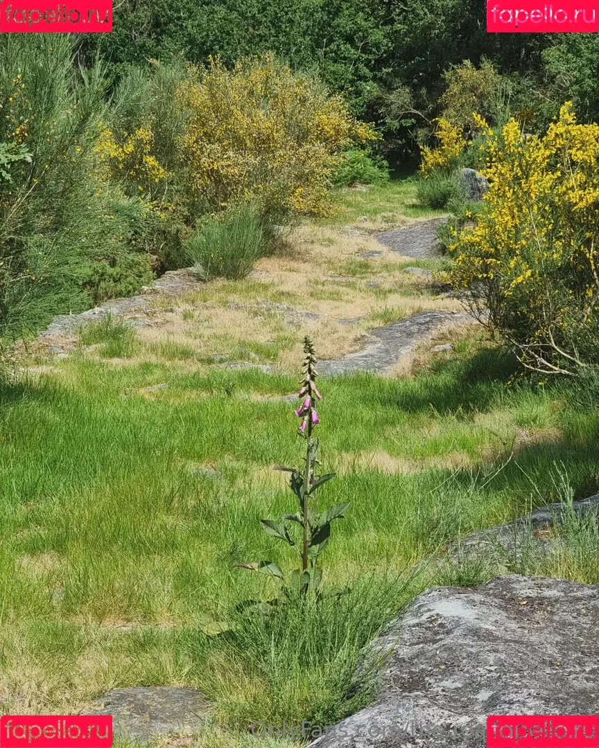 ninja_natalie / the.real.ninja.girl Onlyfans Photo Gallery 