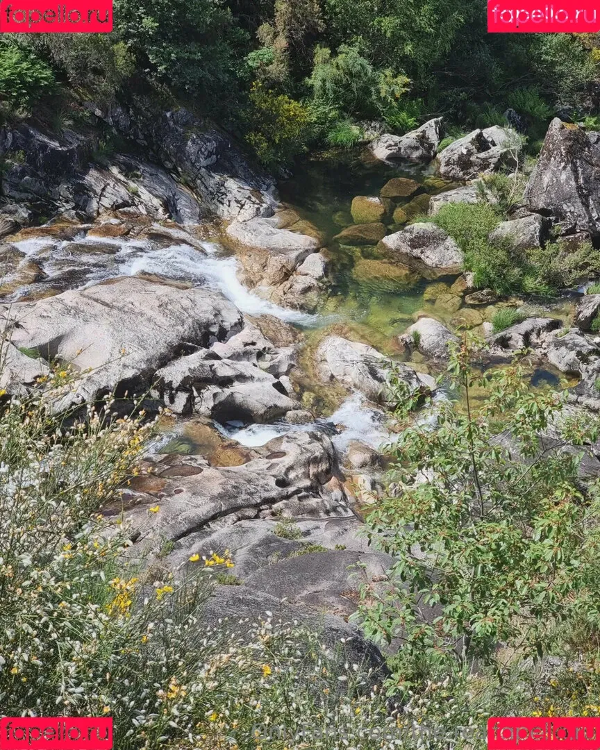 ninja_natalie / the.real.ninja.girl Onlyfans Photo Gallery 