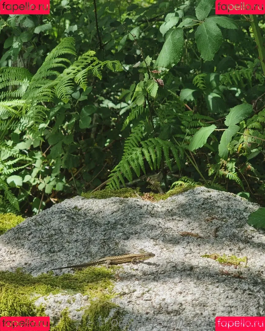 ninja_natalie / the.real.ninja.girl Onlyfans Photo Gallery 