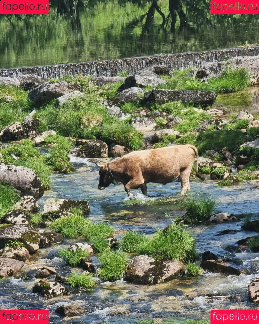 ninja_natalie / the.real.ninja.girl Onlyfans Photo Gallery 